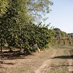 Agroturismo Sasso Bianco Pitigliano